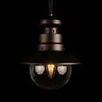 100022P Уличный подвесной светильник LOFT IT Piemonte