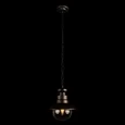 100022P Уличный подвесной светильник LOFT IT Piemonte
