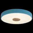Накладной светильник Axel 2 10003/24 Blue