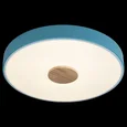 Накладной светильник Axel 2 10003/24 Blue