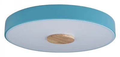 Накладной светильник Axel 2 10003/24 Blue