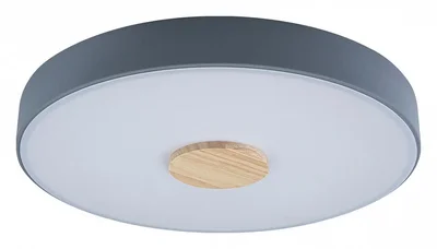 Накладной светильник Axel 2 10003/24 Grey