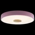 Накладной светильник Axel 2 10003/24 Pink