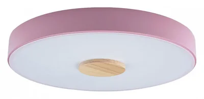 Накладной светильник Axel 2 10003/24 Pink