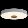 Накладной светильник Axel 2 10003/24 White