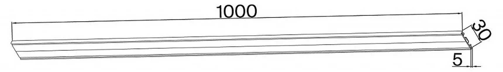 1002-TW-100, шинопровод, L1000xW30xH5, IP20