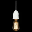 10091 Подвесной светильник LOFT IT Sherwood