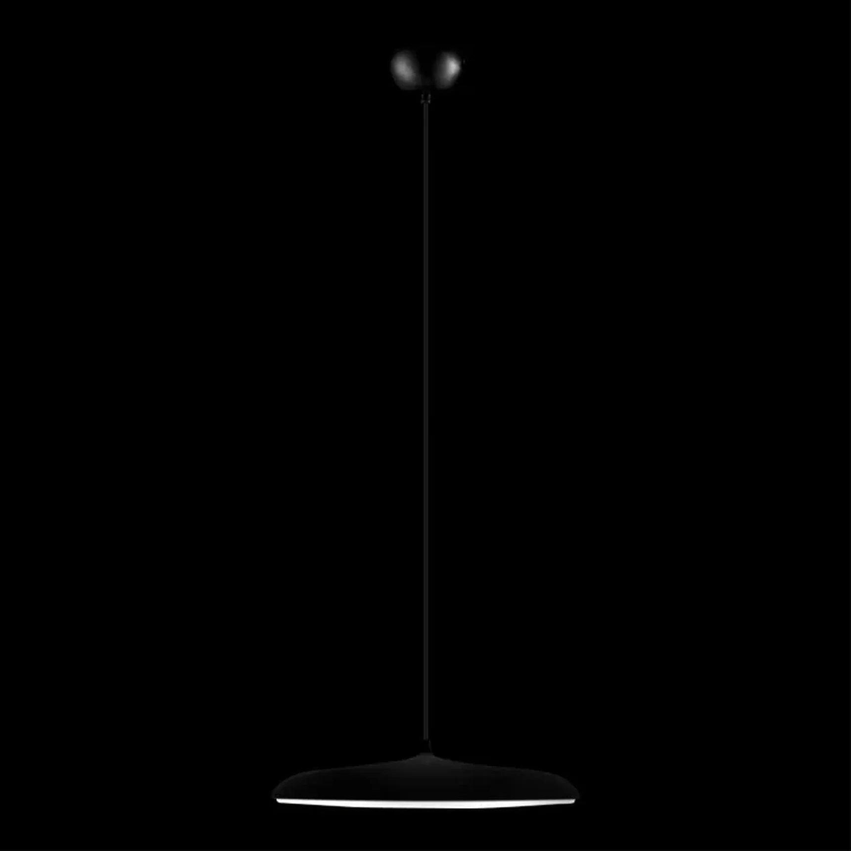 10119 Black Подвесной светильник LOFT IT Plato