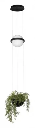 10121/B Подвесной светильник LOFT IT Jardin