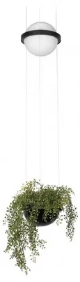 10121/B Подвесной светильник LOFT IT Jardin