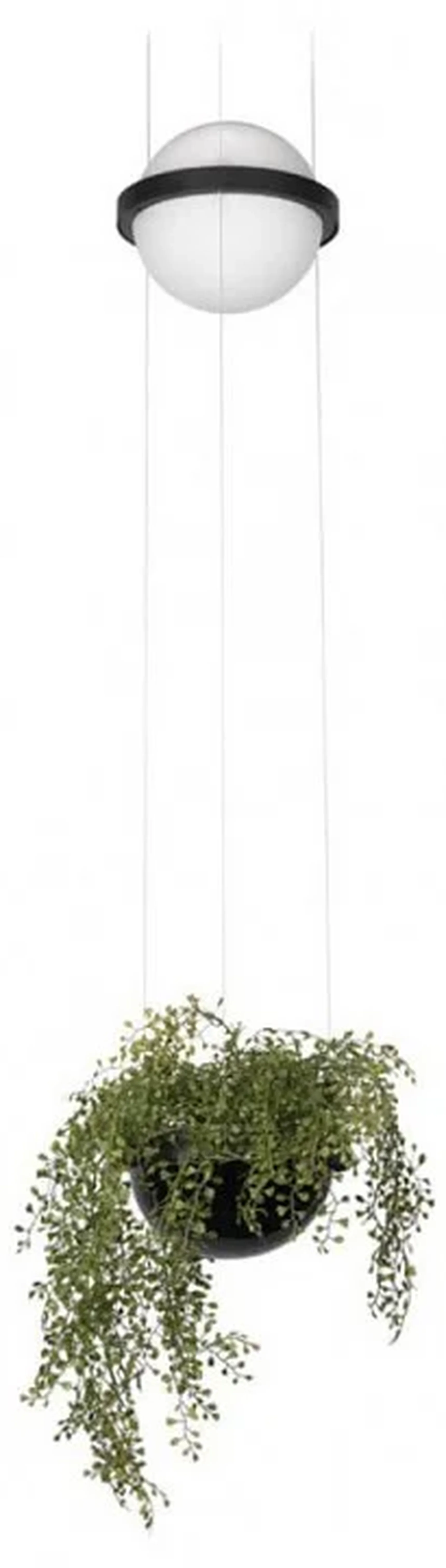 10121/B Подвесной светильник LOFT IT Jardin