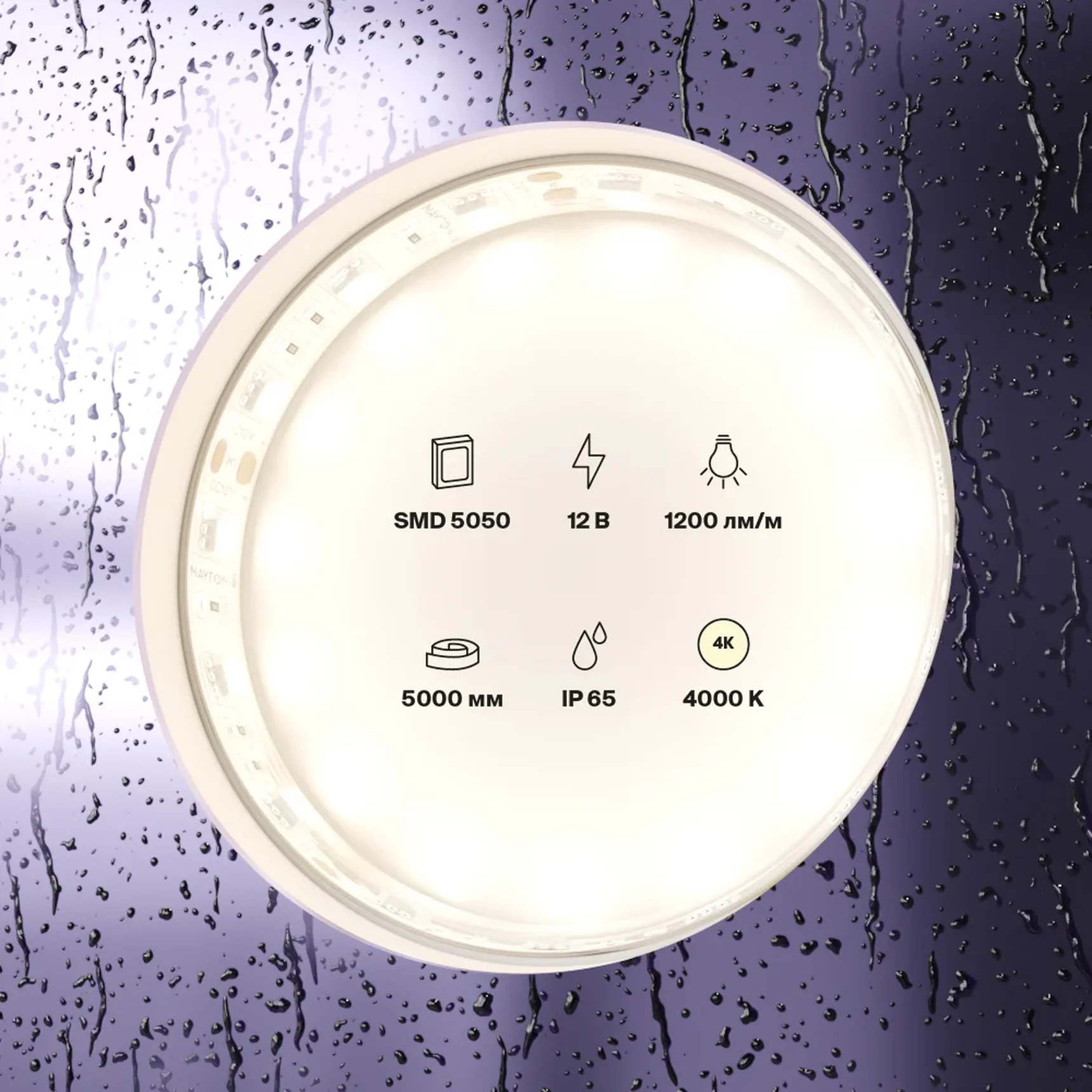 Светодиодная лента 12В 5050 14,4Вт/м 4000K 5м IP65, 10132