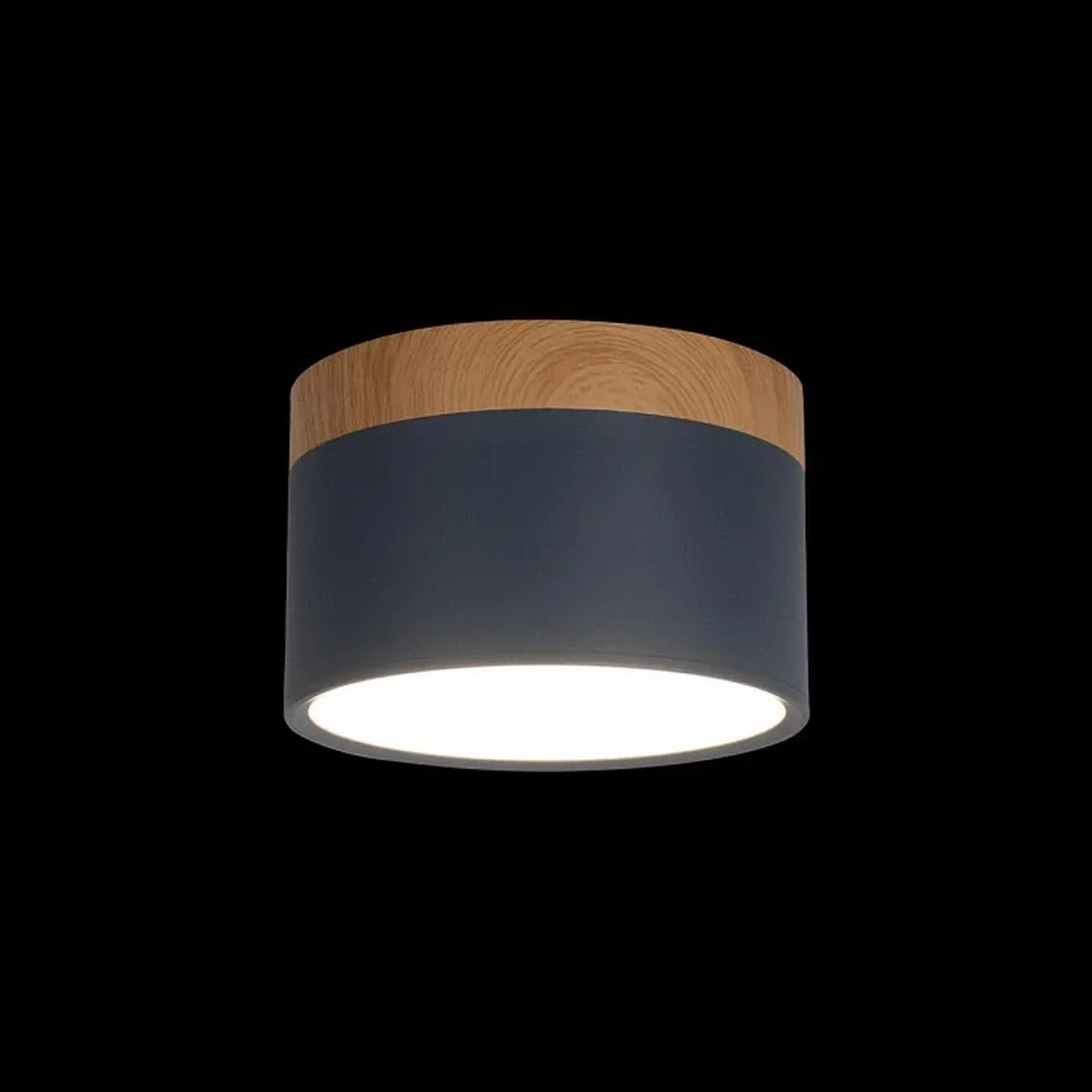 10162 Blue Накладной светильник LOFT IT Grape