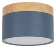 10162 Blue Накладной светильник LOFT IT Grape