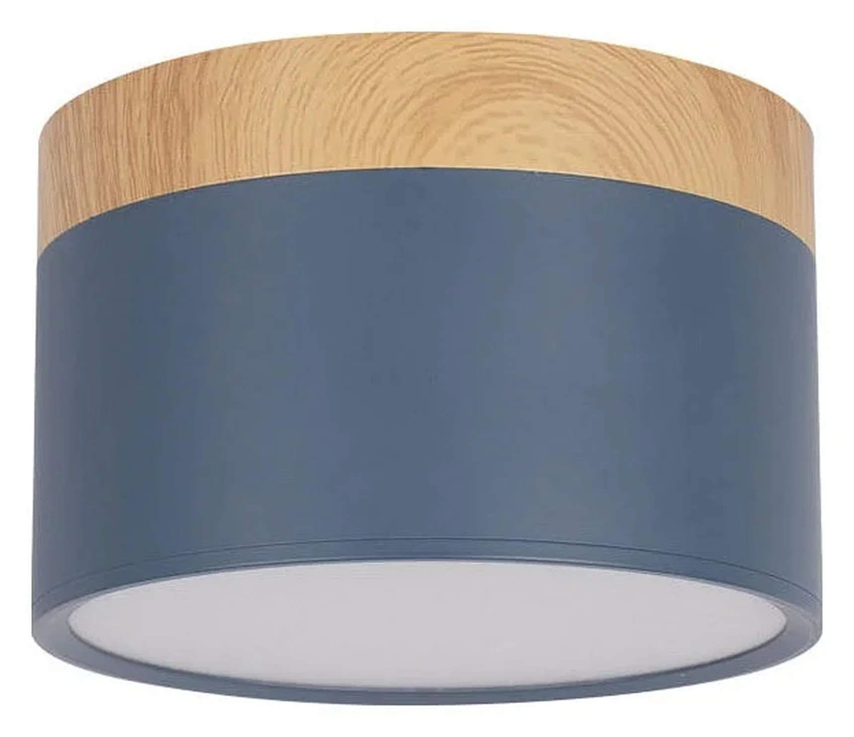 10162 Blue Накладной светильник LOFT IT Grape