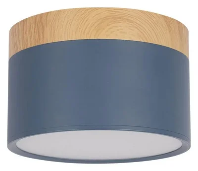 10162 Blue Накладной светильник LOFT IT Grape