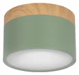 10162 Green Накладной светильник LOFT IT Grape