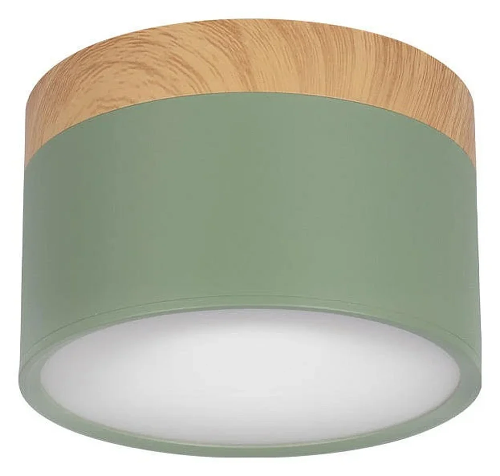 10162 Green Накладной светильник LOFT IT Grape