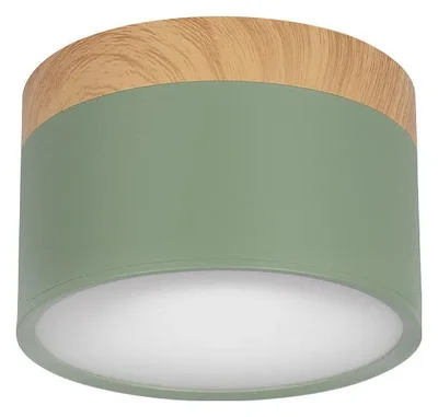 10162 Green Накладной светильник LOFT IT Grape