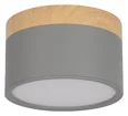 10162 Grey Накладной светильник LOFT IT Grape