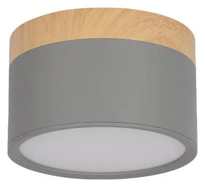 10162 Grey Накладной светильник LOFT IT Grape