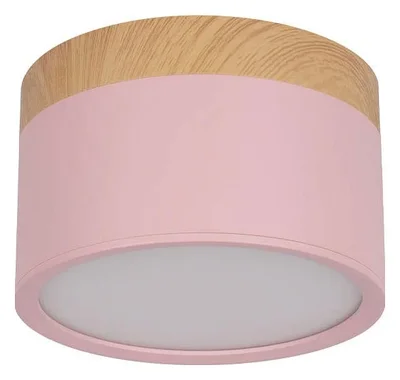 10162 Pink Накладной светильник LOFT IT Grape