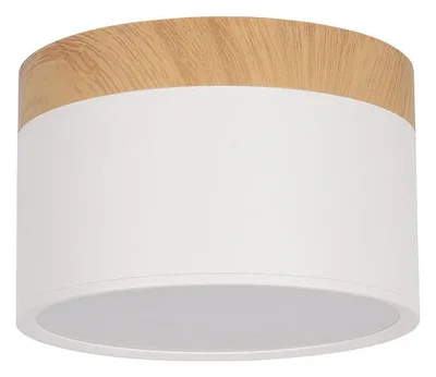 10162 White Накладной светильник LOFT IT Grape