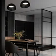 10197/350 BB Потолочный светильник LOFT IT Egg
