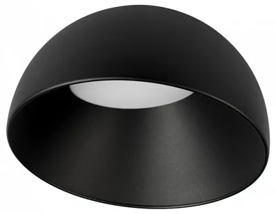 10197/350 BB Потолочный светильник LOFT IT Egg