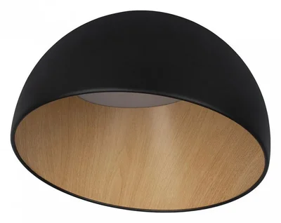 10197/350 Black Потолочные светильники LOFT IT Egg