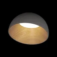 10197/350 Grey Потолочный светильник LOFT IT Egg