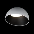 10197/350 WB Потолочный светильник LOFT IT Egg