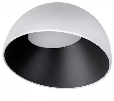 10197/350 WB Потолочный светильник LOFT IT Egg