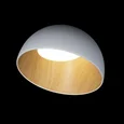 10197/350 White Потолочные светильники LOFT IT Egg