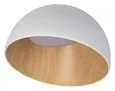 10197/350 White Потолочные светильники LOFT IT Egg