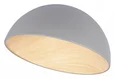 10197/500 Grey Потолочный светильник LOFT IT Egg