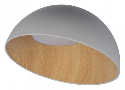 10197/500 Grey Потолочный светильник LOFT IT Egg