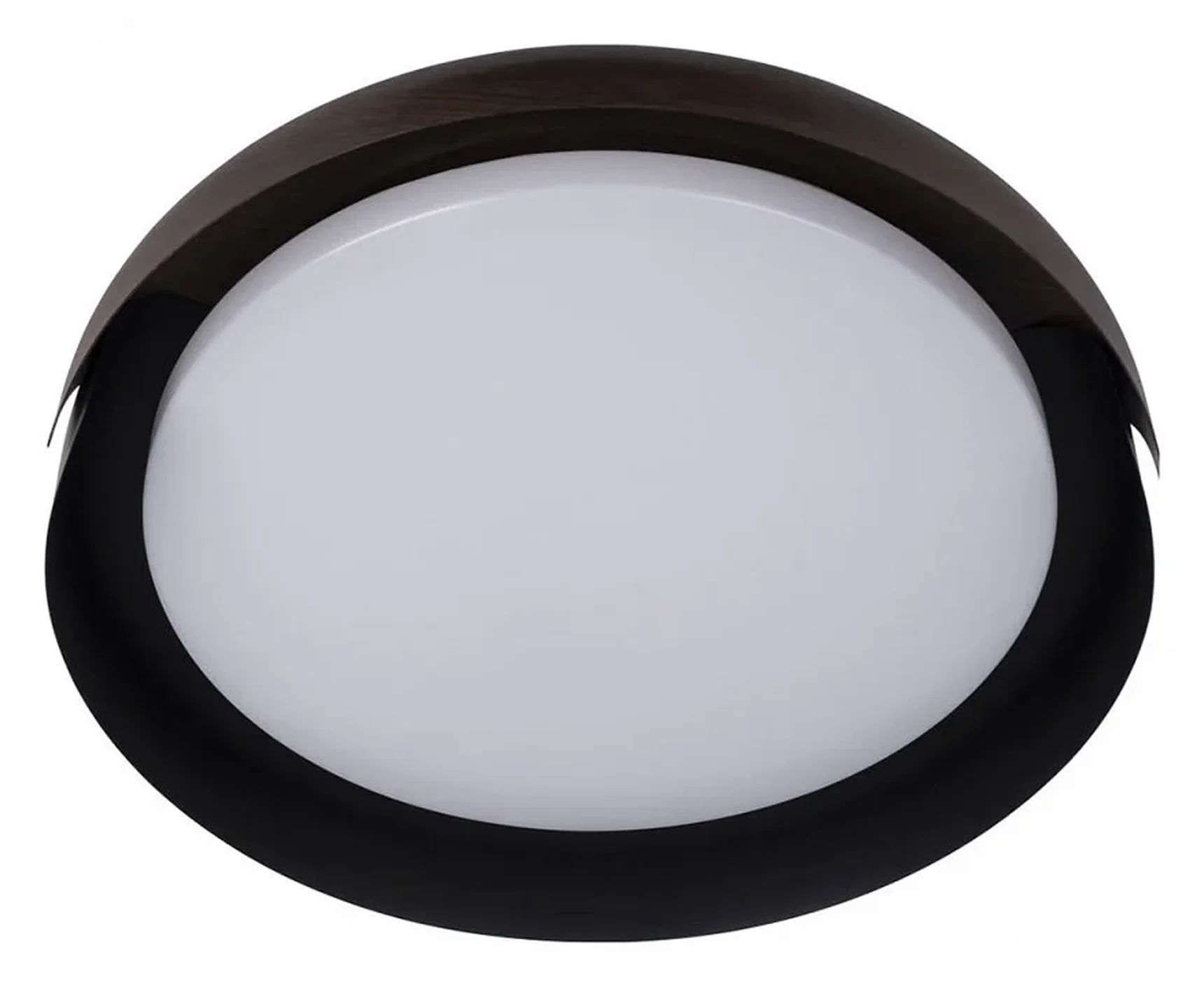 10198 Black Потолочные светильники LOFT IT Coin