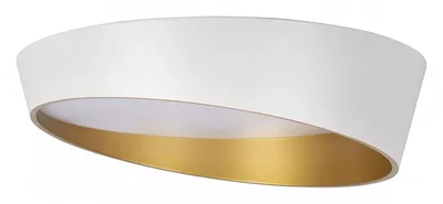 10199 White Потолочные светильники LOFT IT Coin
