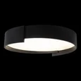 10200 Black Потолочные светильники LOFT IT Coin