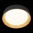 10202 Grey Потолочный светильник LOFT IT Coin
