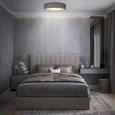 10202 Grey Потолочный светильник LOFT IT Coin