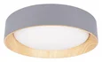 10202 Grey Потолочный светильник LOFT IT Coin