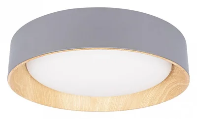 10202 Grey Потолочный светильник LOFT IT Coin