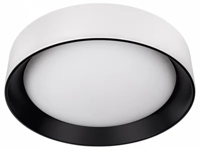 10202 WB Потолочный светильник LOFT IT Coin