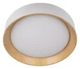 10202 White Потолочные светильники LOFT IT Coin