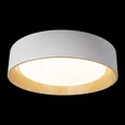 10202 White Потолочные светильники LOFT IT Coin