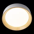 10202 White Потолочные светильники LOFT IT Coin