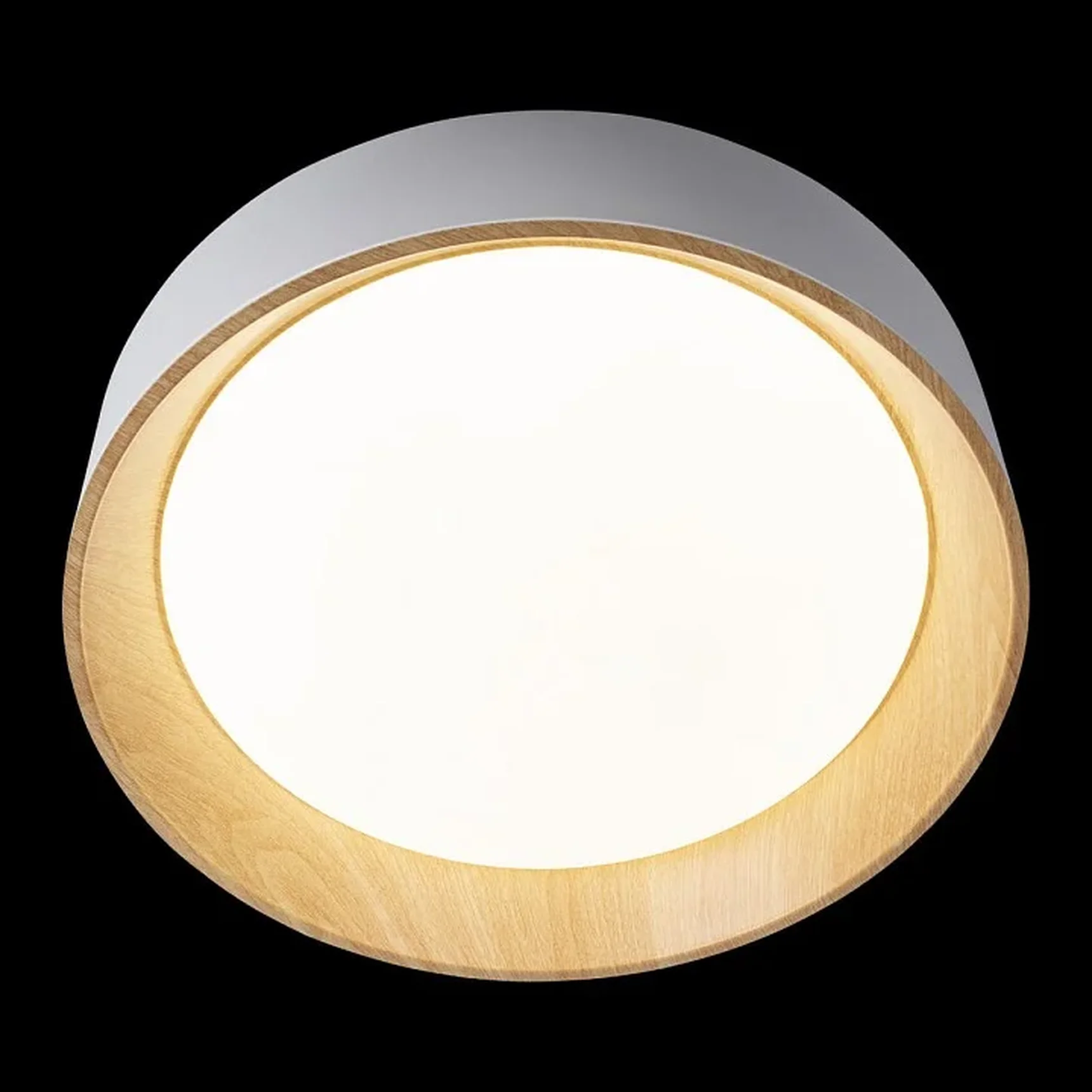 10202 White Потолочные светильники LOFT IT Coin