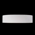 10202 White Потолочные светильники LOFT IT Coin